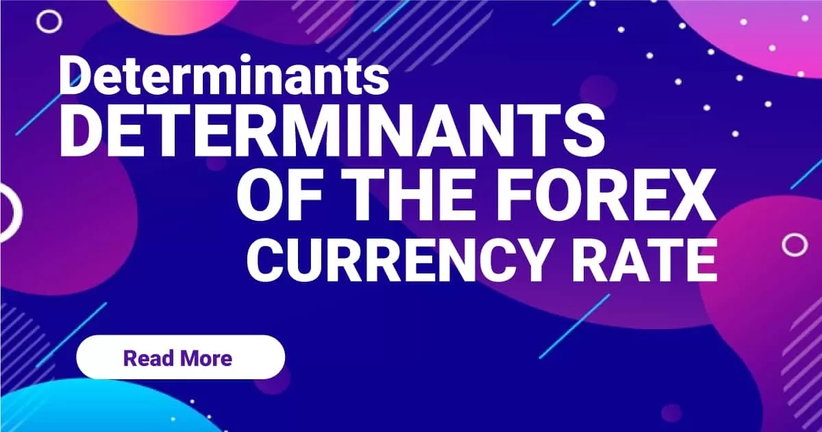 Determinants of the Forex Currency Rate