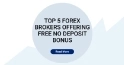 Top 5 Forex Brokers Offering Free N