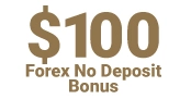 $100 Forex No Deposi