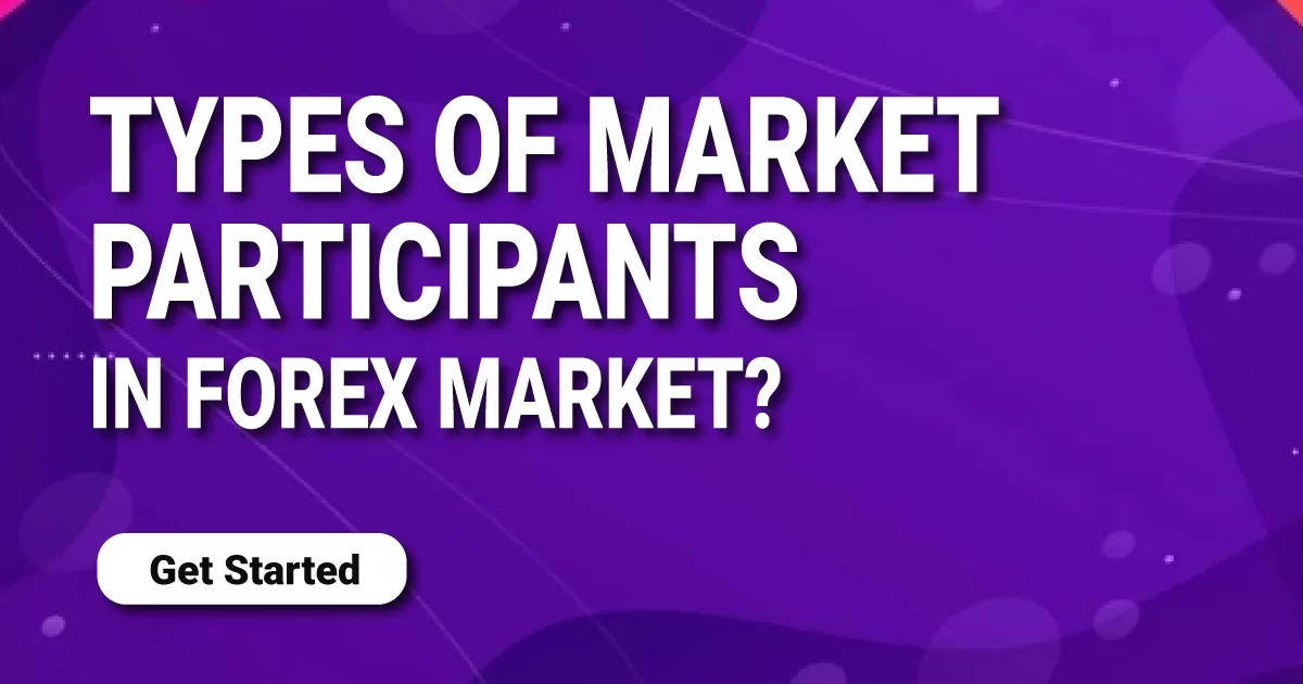 Types of Market Participants in Forex Market?